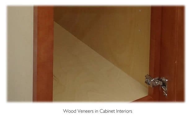 Wood Veneer on Interior of Cabinet